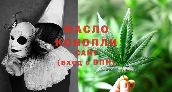 индика Краснослободск